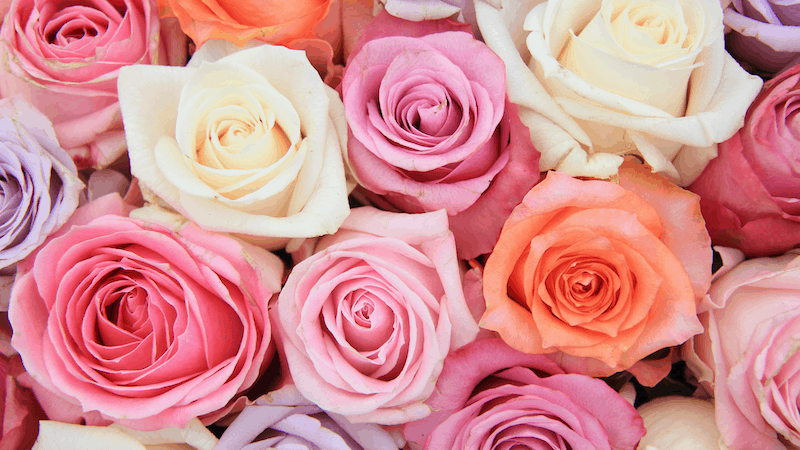 How Much Do Wedding Flowers Cost (10 Tips How To Save) 1 wedding flowers cost