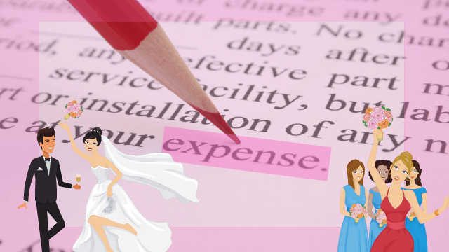 Wedding Advice 15 Red pencil pointing at the word “expense” highlighted in pink on a document