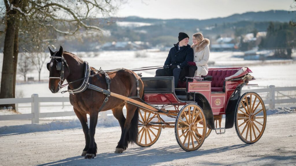 Engaged couple ride in a red horse drawn carriage across snowy countryside, bundled in coats and gloves, smiling as a chestnut horse leads. couple in Horse-Drawn Carriage