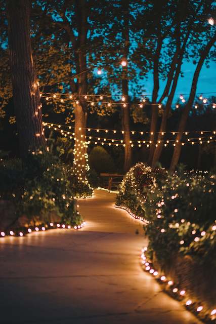 Twinkling Pathway Lights Wedding pathway lined with twinkling lights and trees wrapped in string lights, creating a magical outdoor walkway at dusk.