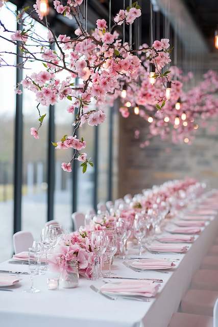blooming cherry blossom branches suspended over a wedding dinner table blooming cherry blossom branches suspended over a wedding dinner table