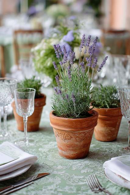 Sage Green & Terracotta on wedding dinner table Terracotta pots filled with blooming lavender plants used as rustic wedding centerpieces on sage green patterned table linens
