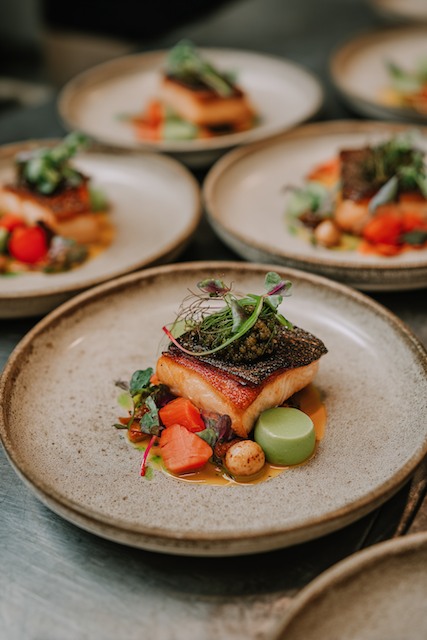 Wedding Tasting: What You Need to Know 2 Plated gourmet dish featuring seared fish with crispy skin, topped with microgreens and sauce, served alongside carrots, potatoes, and a green puree on a ceramic plate at a wedding tasting